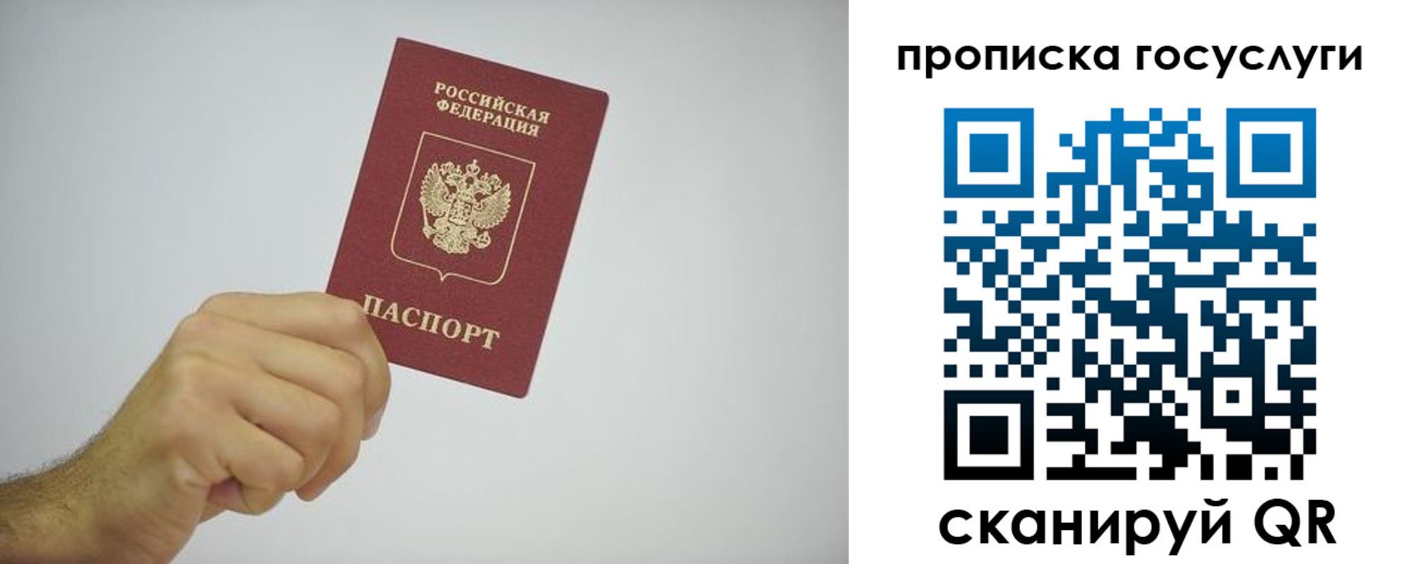 прописка законно в Кудрово